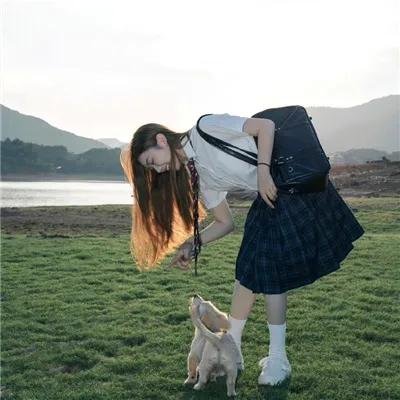 欲海群雌